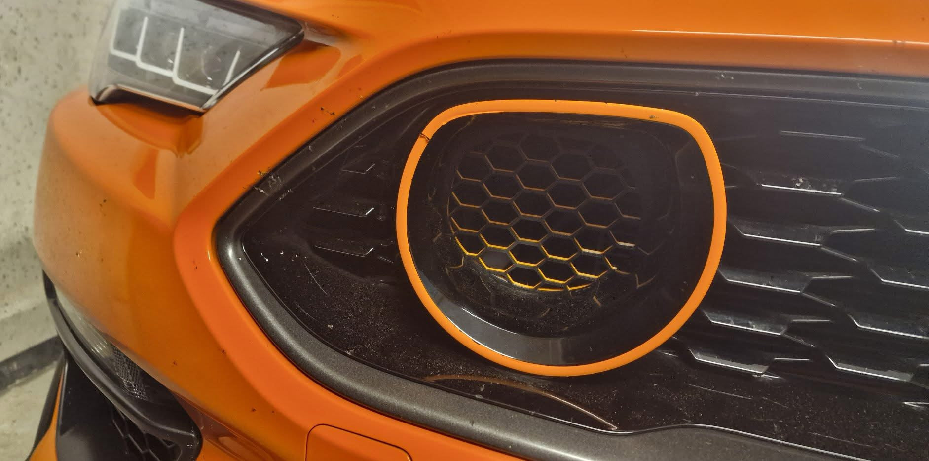 Grill Inserts-TRANSITIONS