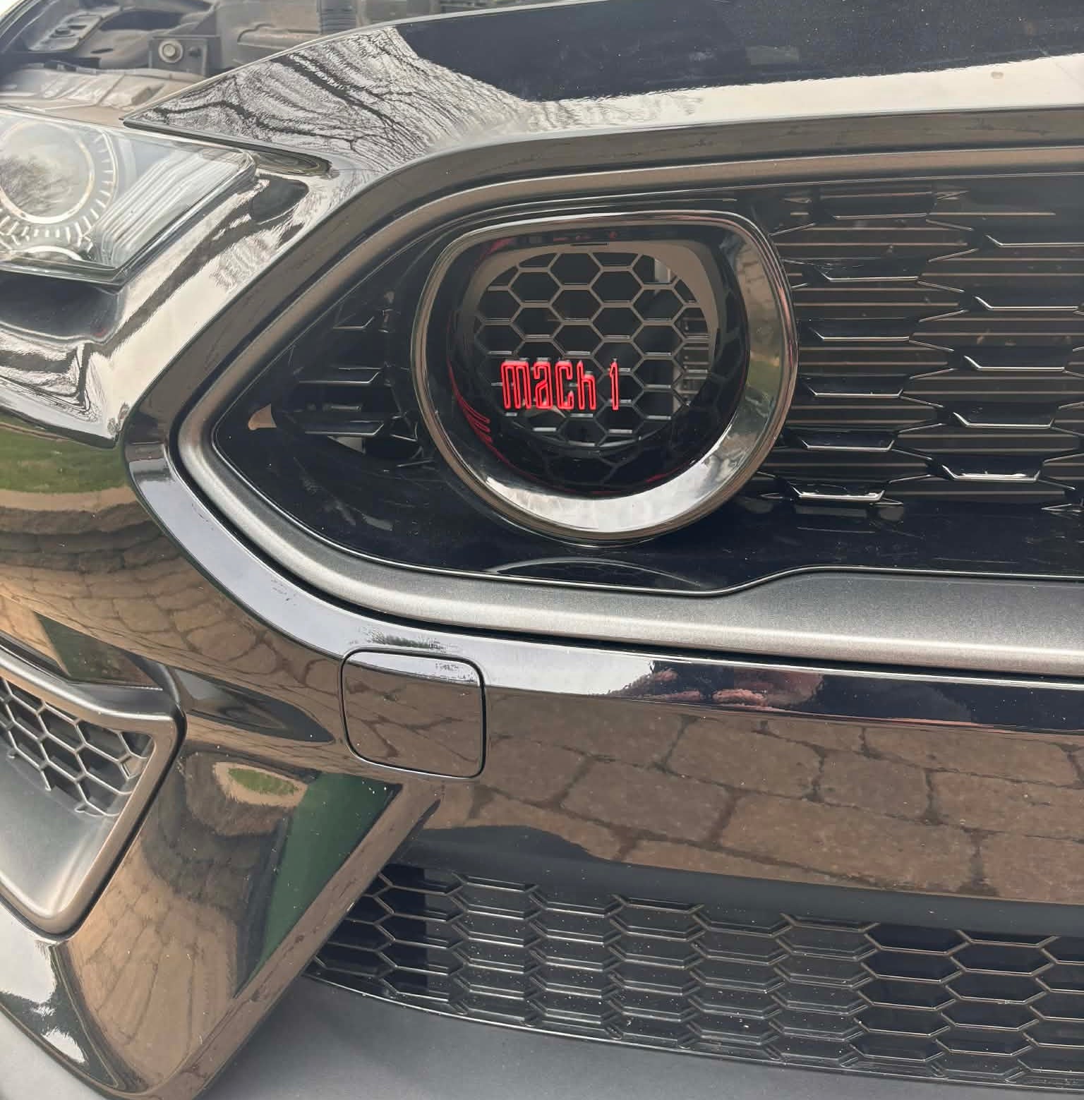 Grill Insert-SOLID LOGO