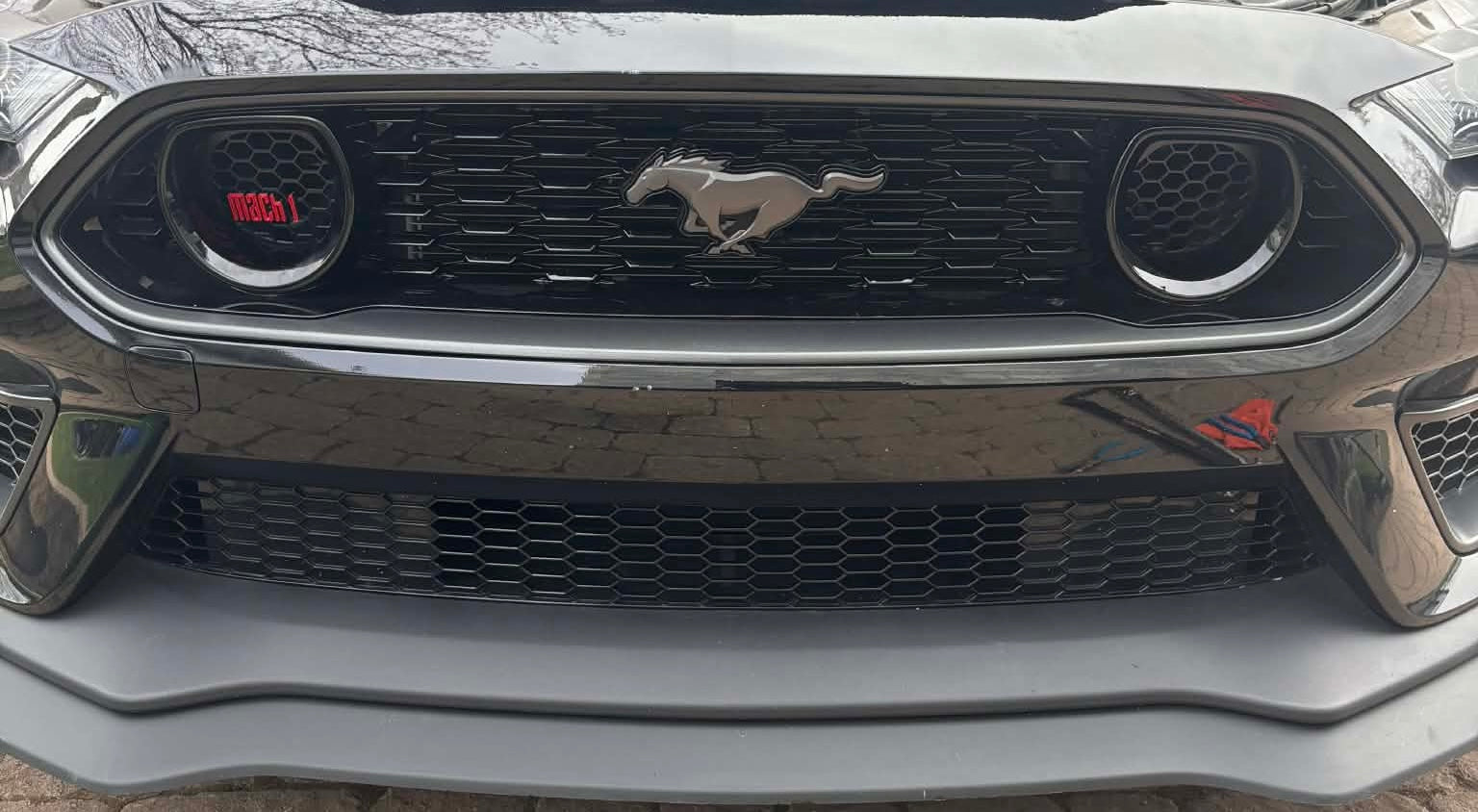 Grill Insert-SOLID LOGO