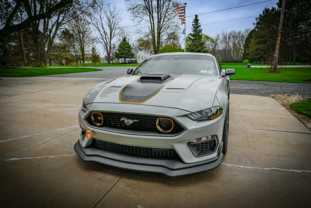 Grill Insert-TRANSITIONS LOGO