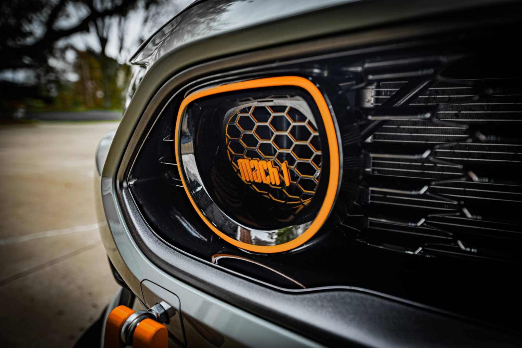 Grill Insert-TRANSITIONS LOGO